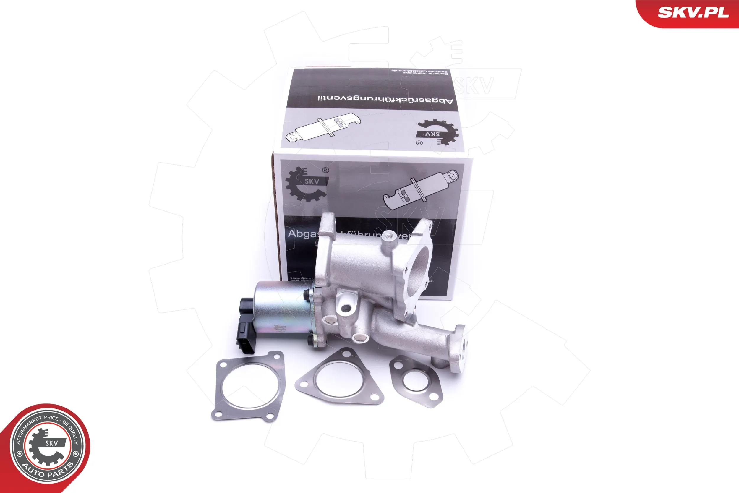EGR Valve